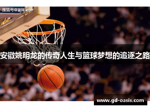 安徽姚明龙的传奇人生与篮球梦想的追逐之路